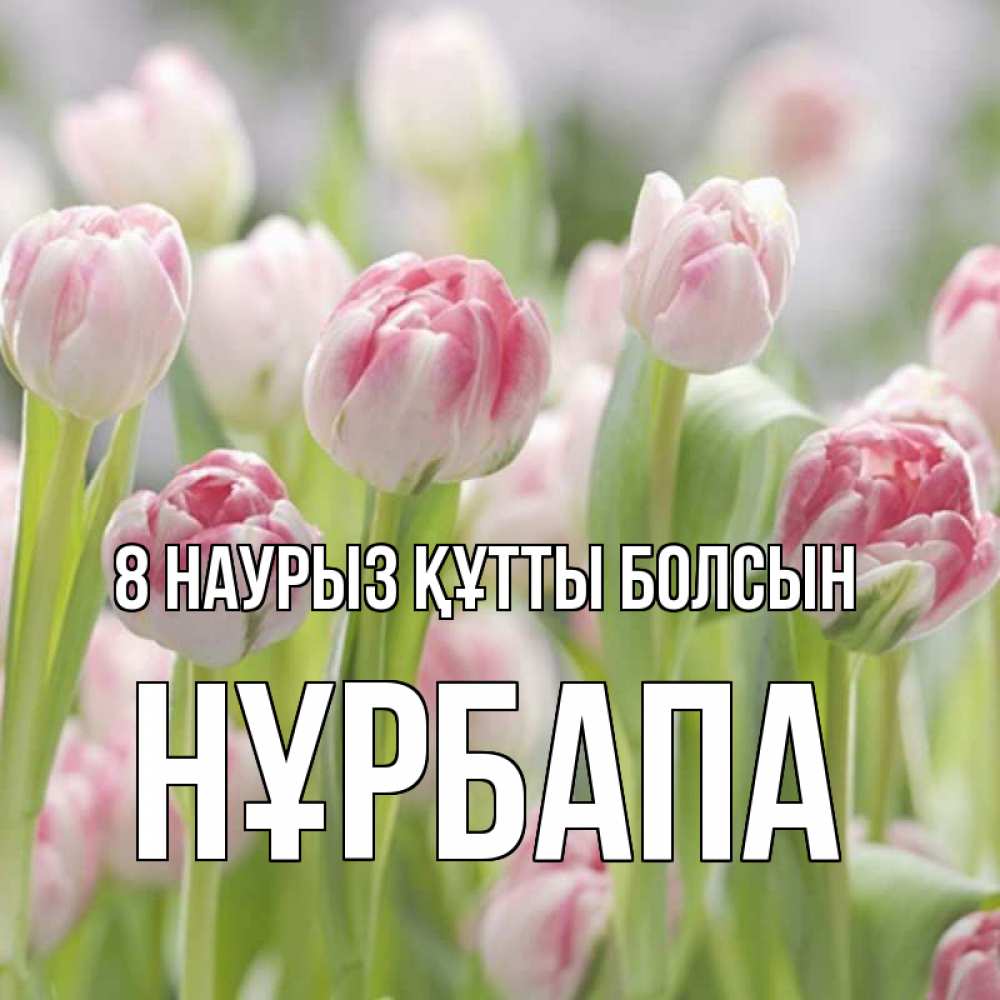 Күн сайын ашық хат с именем, НҰРБАПА 8 наурыз құтты болсын цветы Онлайн тегін жүктеп алу тілектері бар керемет карта 