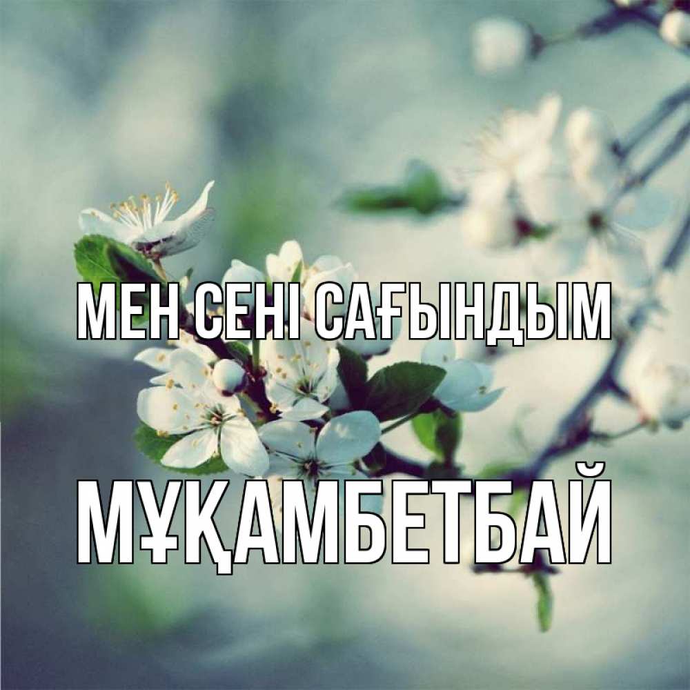 Күн сайын ашық хат с именем, Мұқамбетбай Мен сені сағындым весна Онлайн тегін жүктеп алу тілектері бар керемет карта 