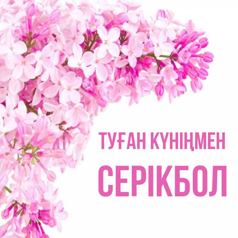 Күн сайын ашық хат с именем, СЕРІКБОЛ Туған күніңмен Сирень на белом фоне Онлайн тегін жүктеп алу тілектері бар керемет карта 