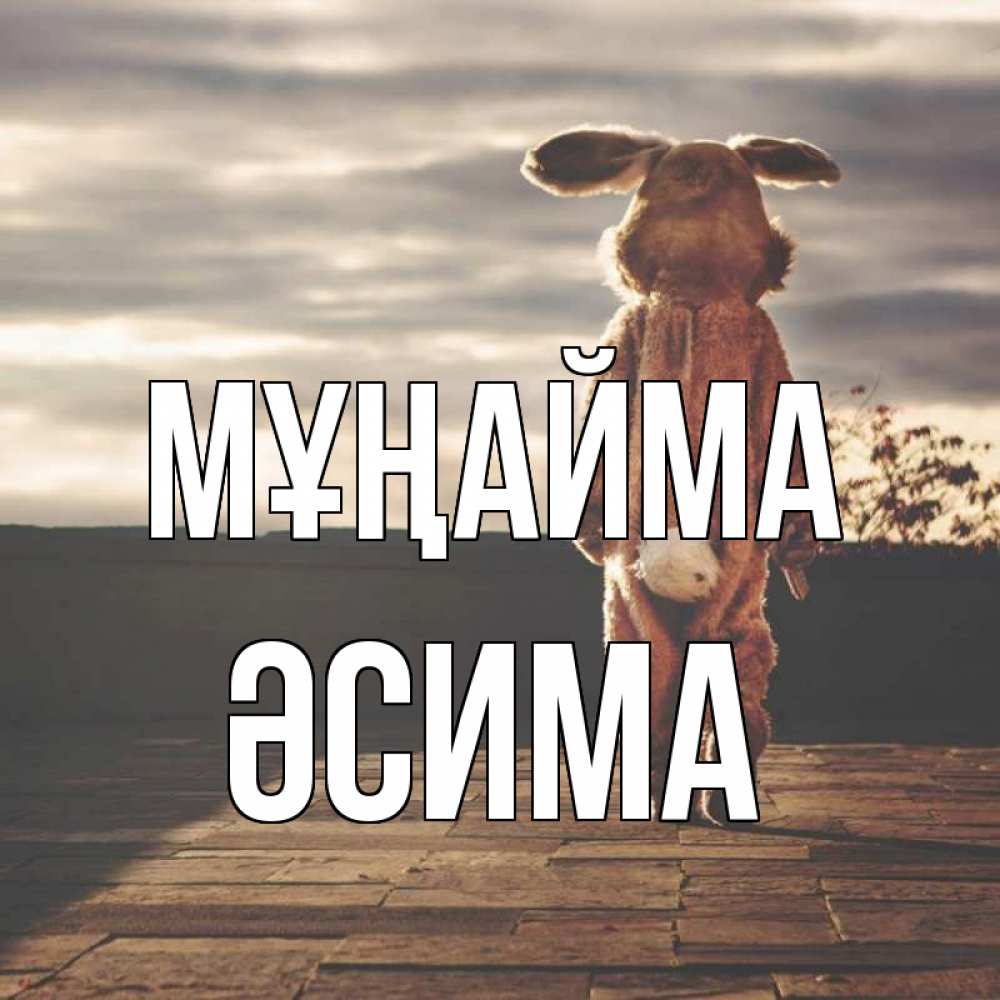 Күн сайын ашық хат с именем, ӘСИМА Мұңайма со спины Онлайн тегін жүктеп алу тілектері бар керемет карта 