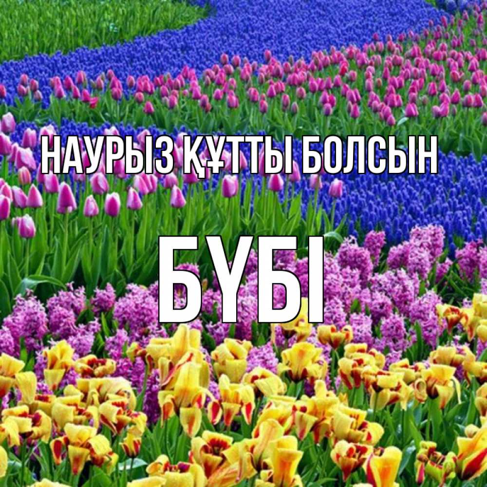 Күн сайын ашық хат с именем, БҮБІ Наурыз құтты болсын цветы Онлайн тегін жүктеп алу тілектері бар керемет карта 