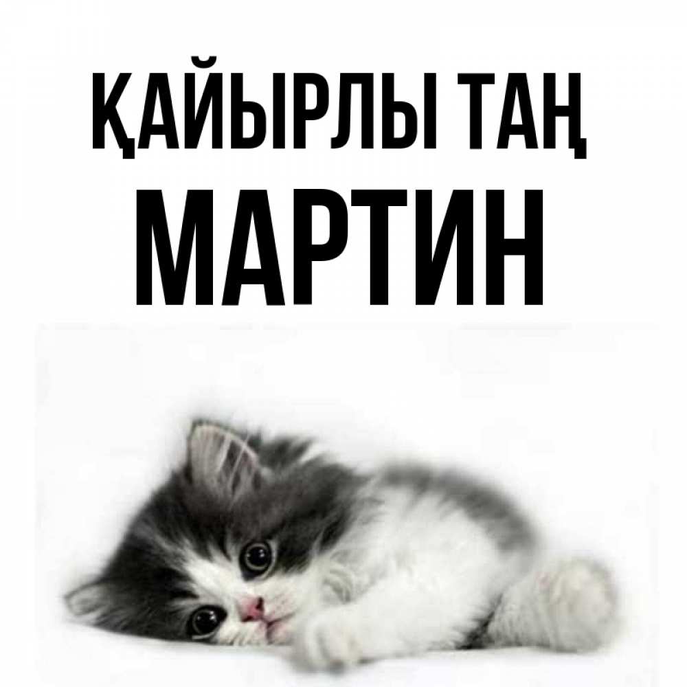 Күн сайын ашық хат с именем, Мартин Қайырлы таң кот лапки Онлайн тегін жүктеп алу тілектері бар керемет карта 