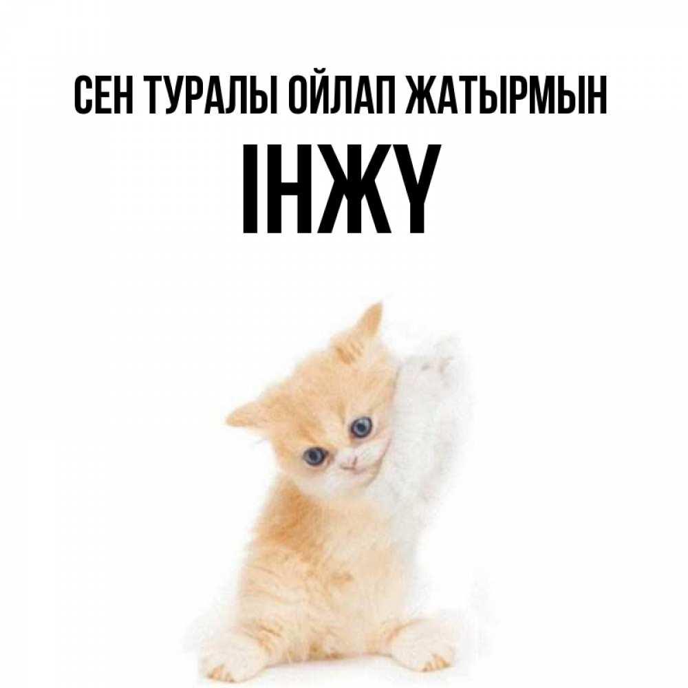 Күн сайын ашық хат с именем, ІНЖҮ Сен туралы ойлап жатырмын зверушки и милота Онлайн тегін жүктеп алу тілектері бар керемет карта 