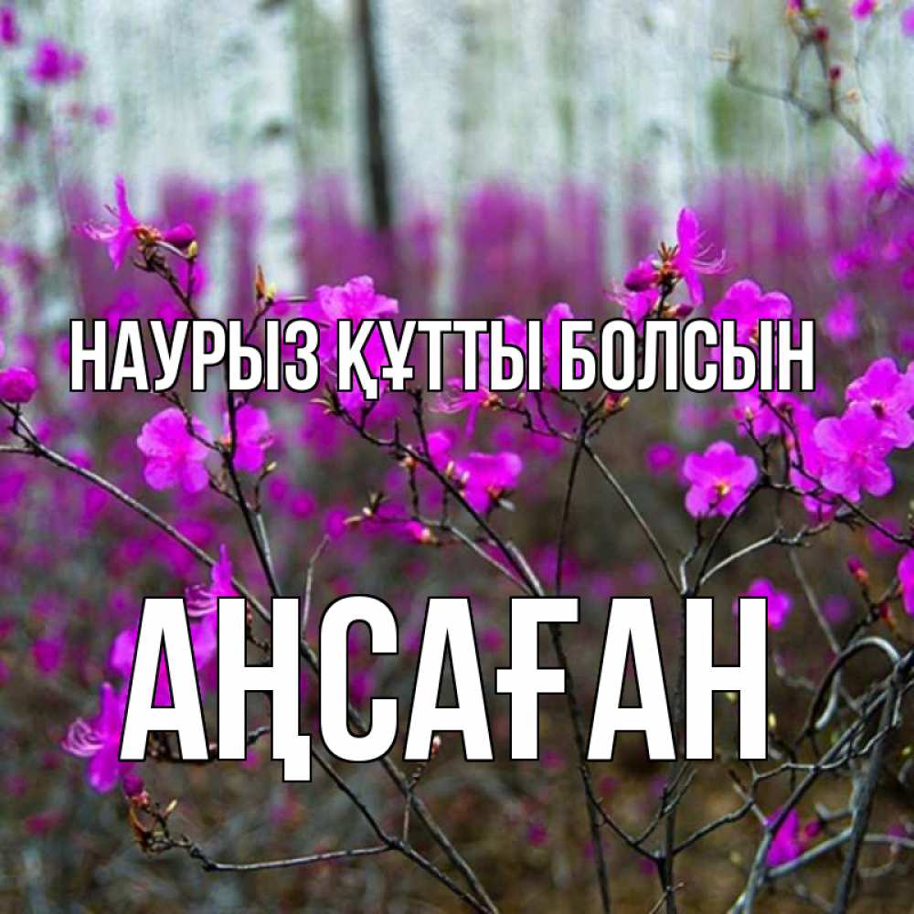 Күн сайын ашық хат с именем, Аңсаған Наурыз құтты болсын дикие цветы Онлайн тегін жүктеп алу тілектері бар керемет карта 