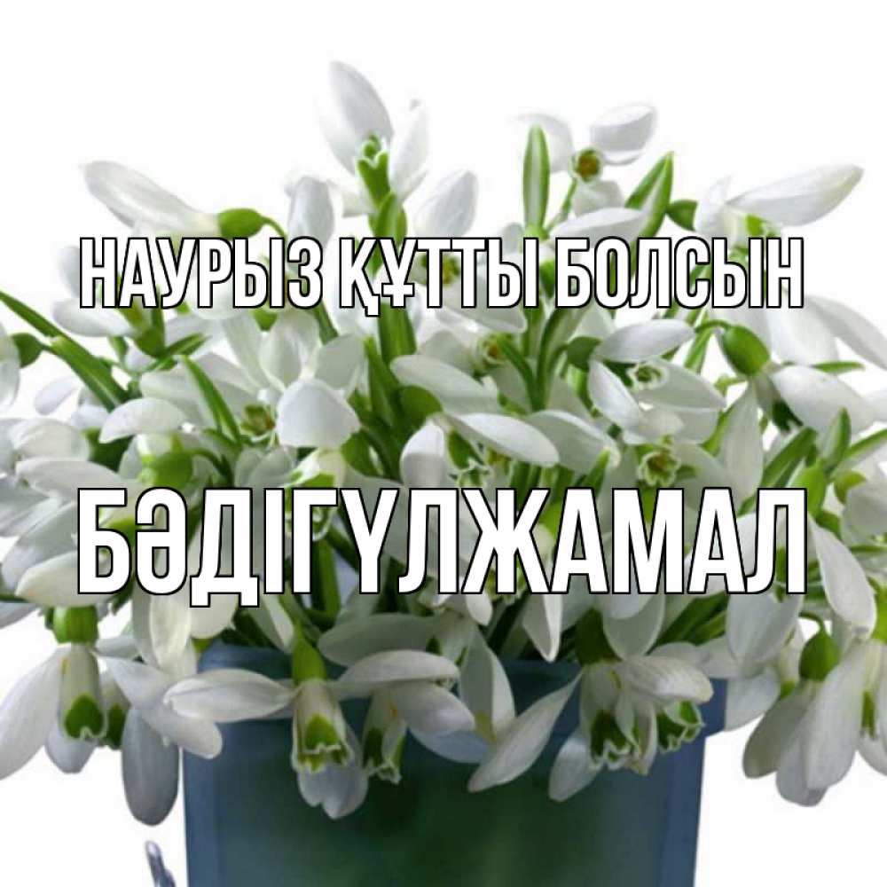 Күн сайын ашық хат с именем, БӘДІГҮЛЖАМАЛ Наурыз құтты болсын цветы к наурызу Онлайн тегін жүктеп алу тілектері бар керемет карта 