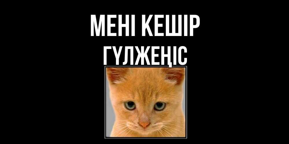 Күн сайын ашық хат с именем, ГҮЛЖЕҢІС Мені кешір рыжий грустный кот просит прощения Онлайн тегін жүктеп алу тілектері бар керемет карта 