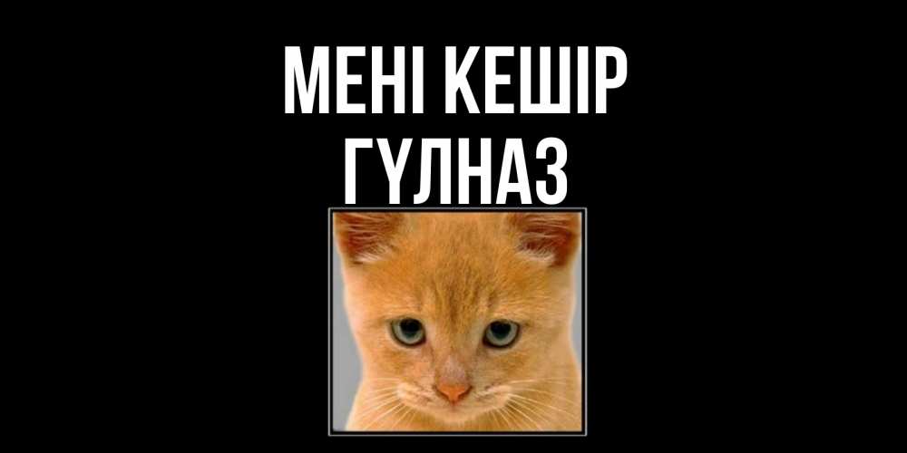 Күн сайын ашық хат с именем, ГҮЛНАЗ Мені кешір рыжий грустный кот просит прощения Онлайн тегін жүктеп алу тілектері бар керемет карта 