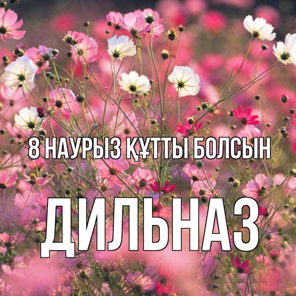 Күн сайын ашық хат с именем, ДИЛЬНАЗ 8 наурыз құтты болсын красиво 1 Онлайн тегін жүктеп алу тілектері бар керемет карта 
