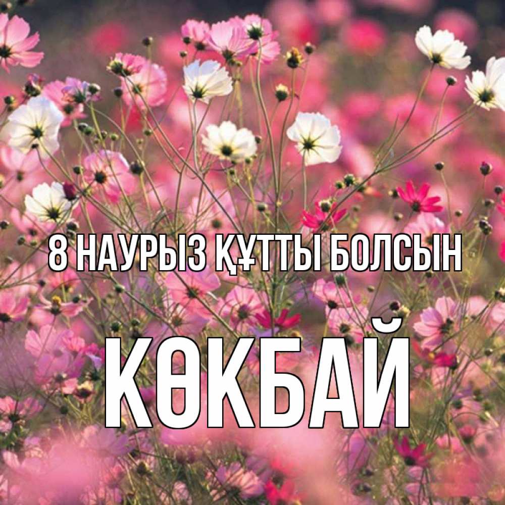Күн сайын ашық хат с именем, Көкбай 8 наурыз құтты болсын красиво 1 Онлайн тегін жүктеп алу тілектері бар керемет карта 