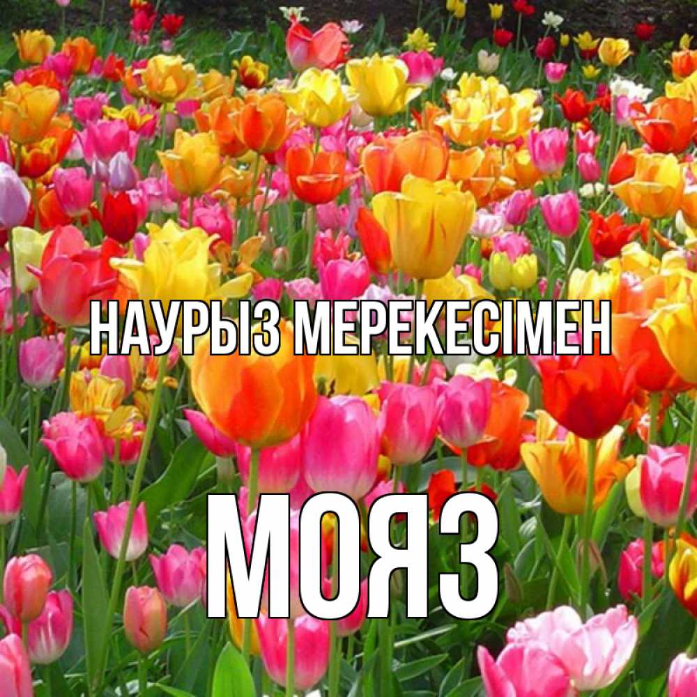 Күн сайын ашық хат с именем, МОЯЗ Наурыз мерекесімен праздник весны наурыз 4 Онлайн тегін жүктеп алу тілектері бар керемет карта 