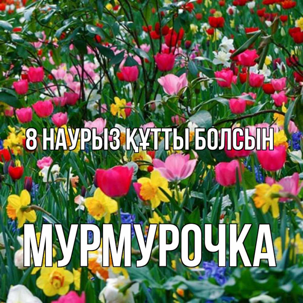 Күн сайын ашық хат с именем, Мурмурочка 8 наурыз құтты болсын с международным женским днем поздравления для женщины Онлайн тегін жүктеп алу тілектері бар керемет карта 