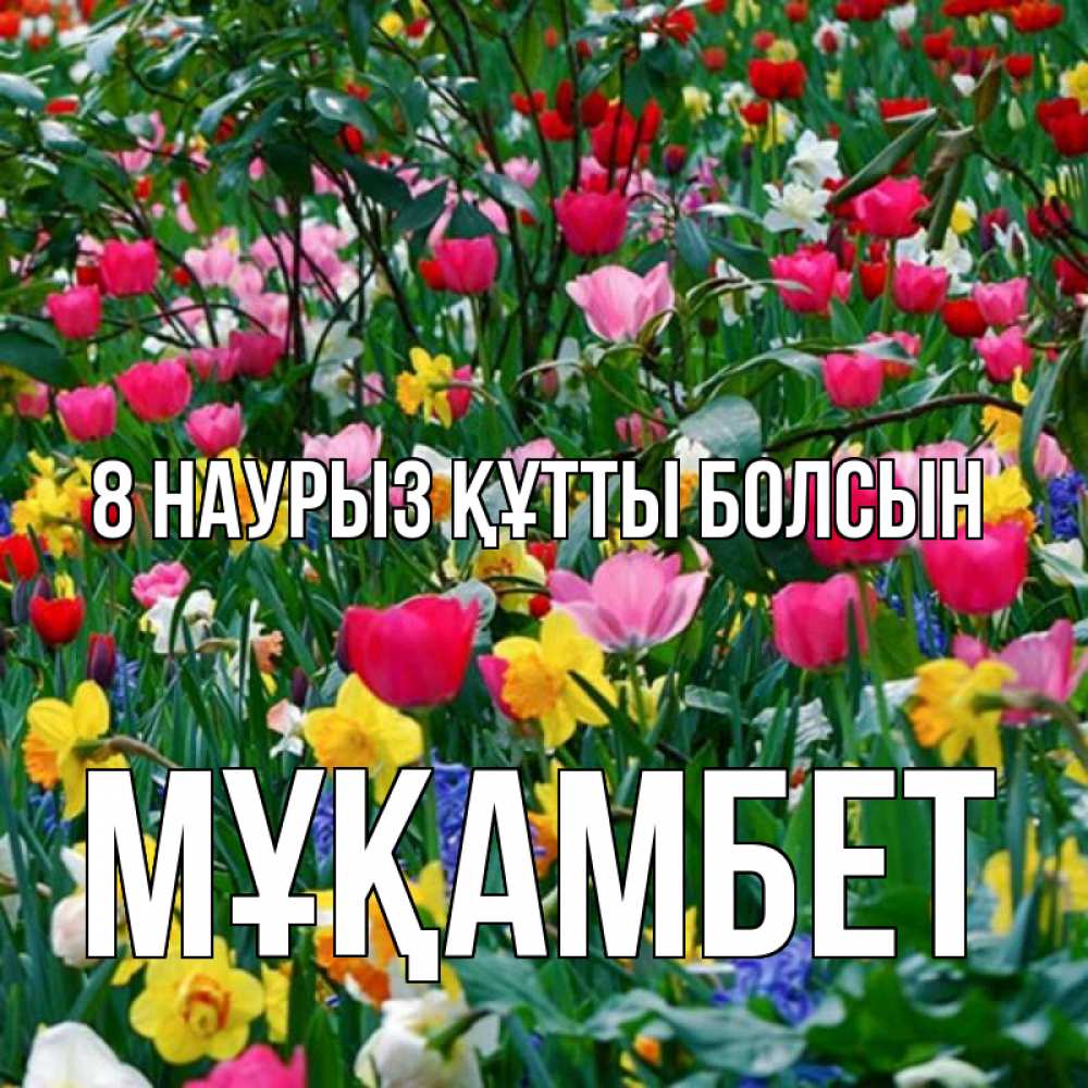 Күн сайын ашық хат с именем, МҰҚАМБЕТ 8 наурыз құтты болсын с международным женским днем поздравления для женщины Онлайн тегін жүктеп алу тілектері бар керемет карта 
