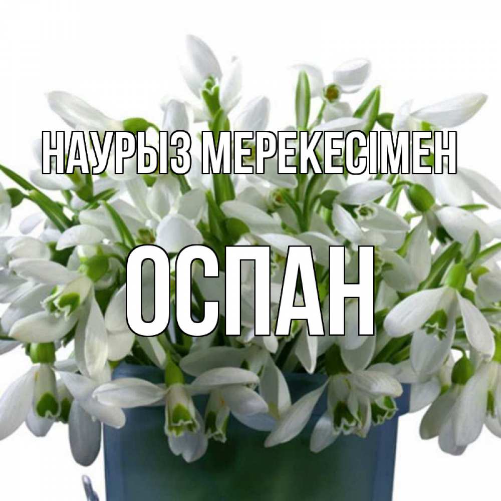 Күн сайын ашық хат с именем, ОСПАН Наурыз мерекесімен цветы к наурызу новый год в Казахстане Онлайн тегін жүктеп алу тілектері бар керемет карта 