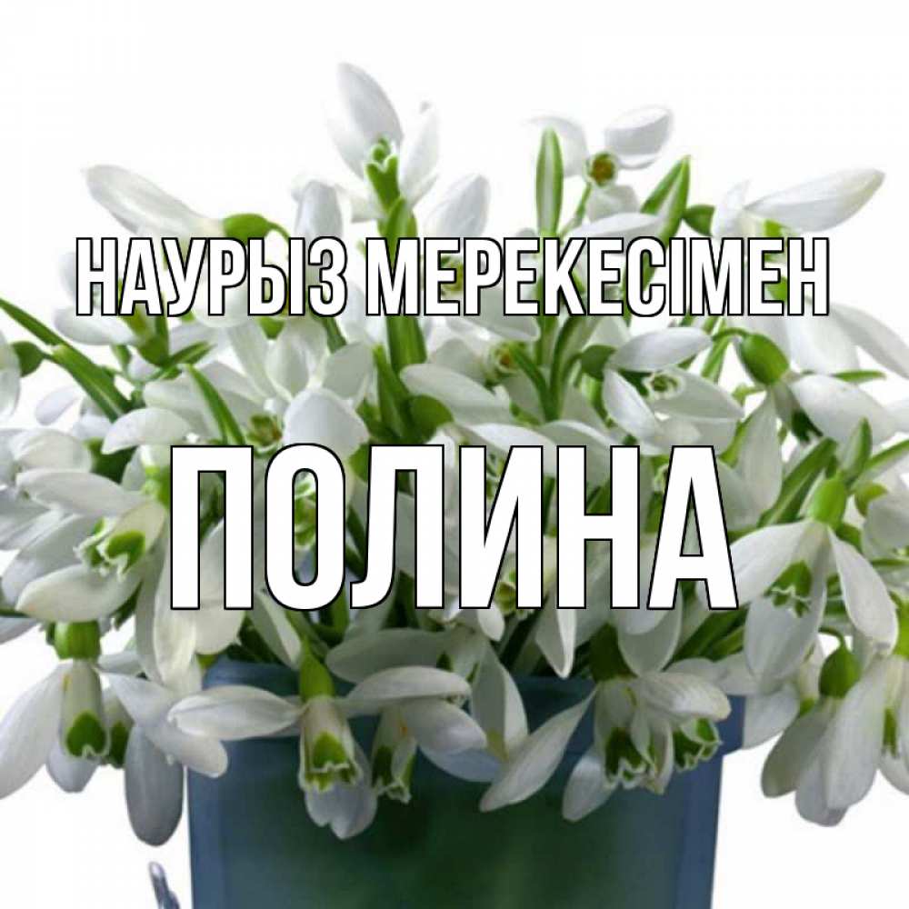 Күн сайын ашық хат с именем, Полина Наурыз мерекесімен цветы к наурызу новый год в Казахстане Онлайн тегін жүктеп алу тілектері бар керемет карта 