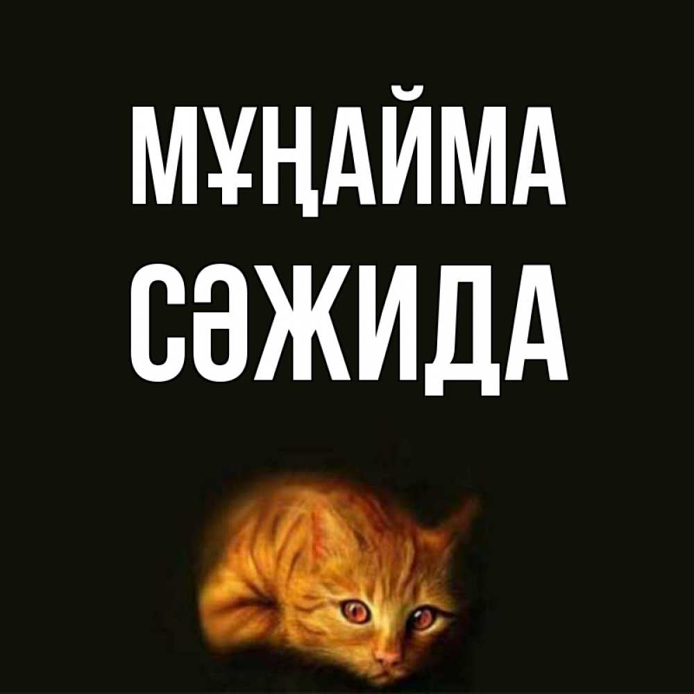 Күн сайын ашық хат с именем, СӘЖИДА Мұңайма лежащий кот в темноте Онлайн тегін жүктеп алу тілектері бар керемет карта 