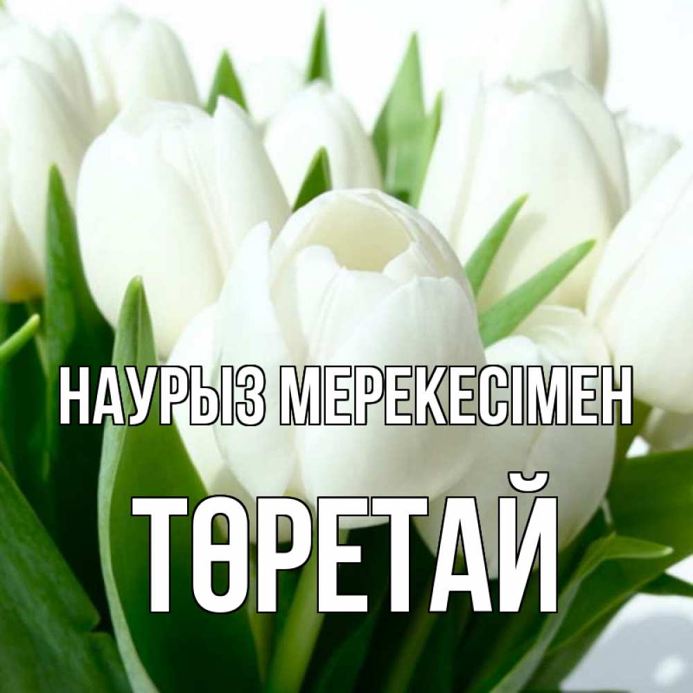 Күн сайын ашық хат с именем, Төретай Наурыз мерекесімен цветы Онлайн тегін жүктеп алу тілектері бар керемет карта 