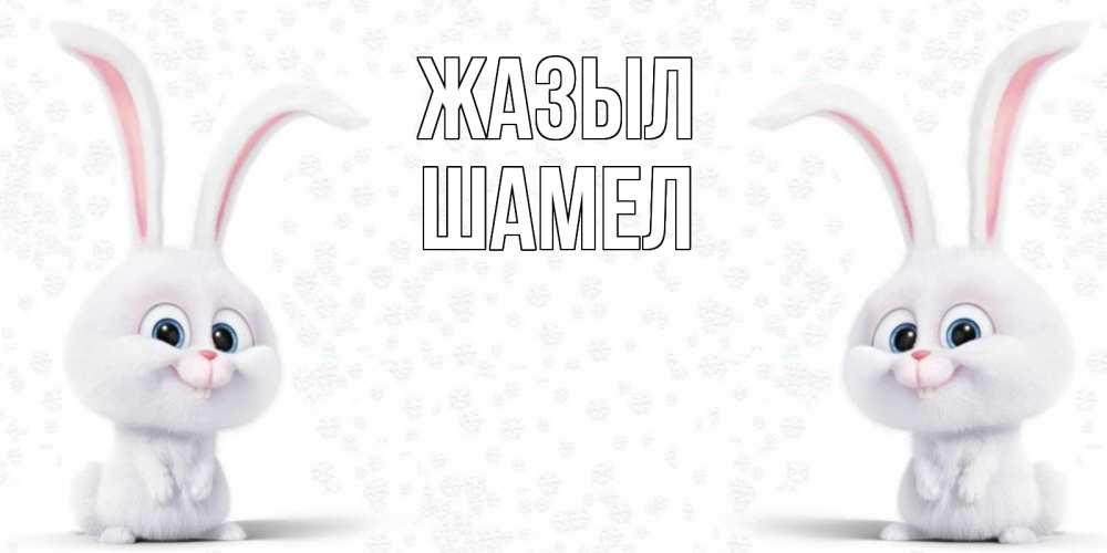 Күн сайын ашық хат с именем, ШАМЕЛ Жазыл не болей с зайцем Онлайн тегін жүктеп алу тілектері бар керемет карта 