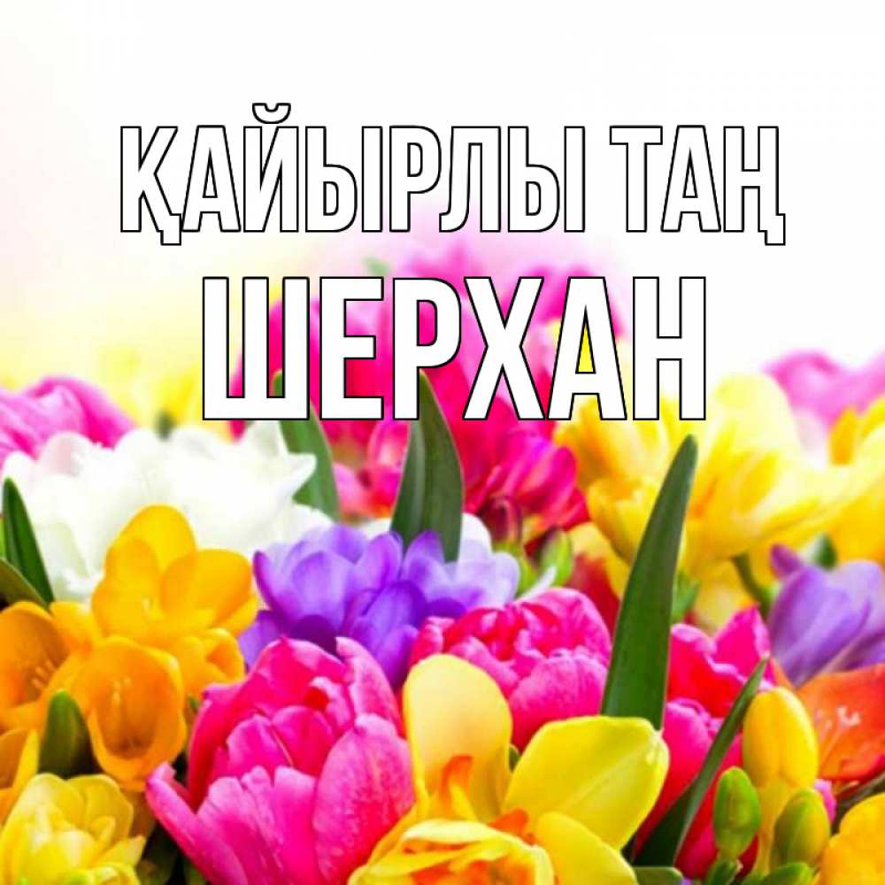 Күн сайын ашық хат с именем, ШЕРХАН Қайырлы таң создать открытку со свое подписью Онлайн тегін жүктеп алу тілектері бар керемет карта 