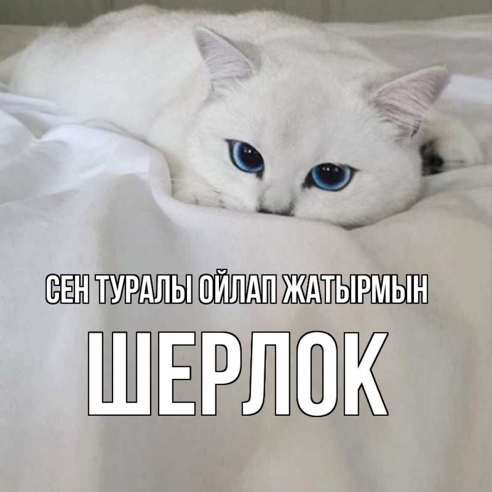 Күн сайын ашық хат с именем, Шерлок Сен туралы ойлап жатырмын я очень по тебе скучаю и тоскую Онлайн тегін жүктеп алу тілектері бар керемет карта 