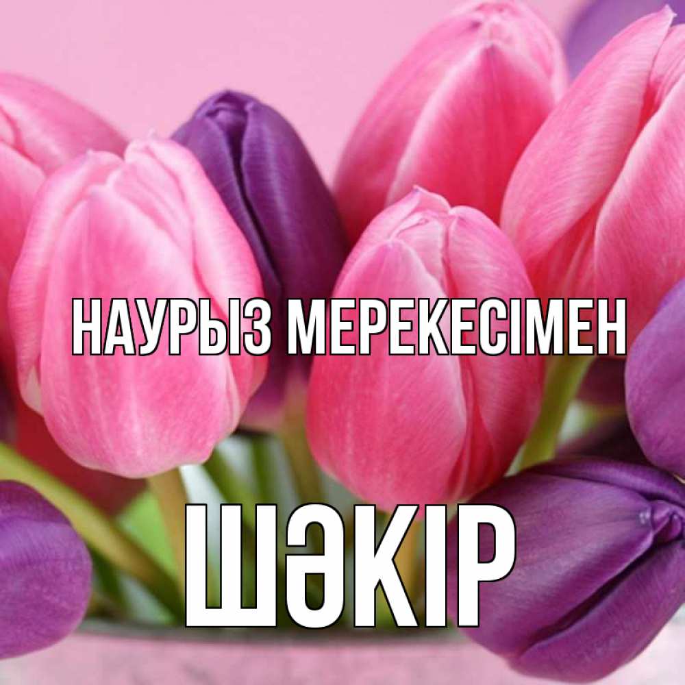 Күн сайын ашық хат с именем, ШӘКІР Наурыз мерекесімен маме 1 Онлайн тегін жүктеп алу тілектері бар керемет карта 