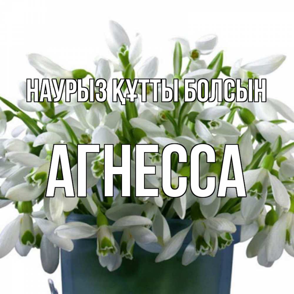 Күн сайын ашық хат с именем, Агнесса Наурыз құтты болсын цветы к наурызу Онлайн тегін жүктеп алу тілектері бар керемет карта 