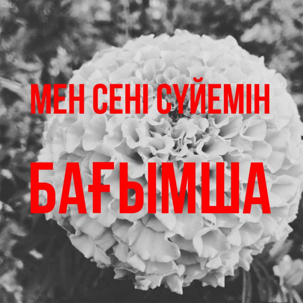 Күн сайын ашық хат с именем, БАҒЫМША Мен сені сүйемін подпись Онлайн тегін жүктеп алу тілектері бар керемет карта 
