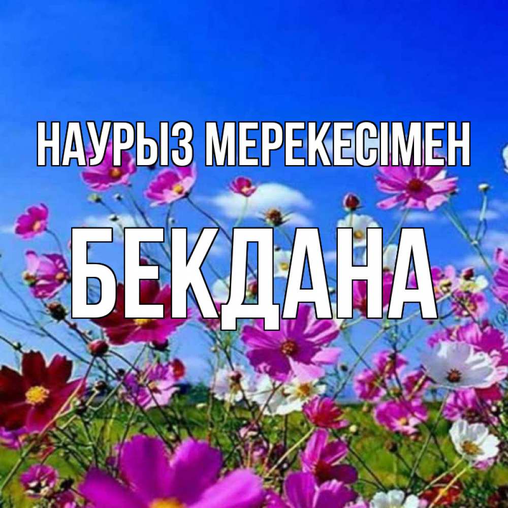 Күн сайын ашық хат с именем, БЕКДАНА Наурыз мерекесімен цветы Онлайн тегін жүктеп алу тілектері бар керемет карта 