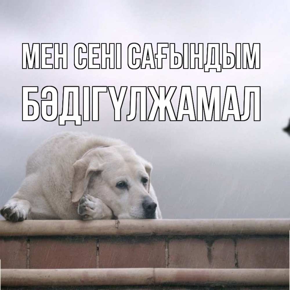 Күн сайын ашық хат с именем, БӘДІГҮЛЖАМАЛ Мен сені сағындым ждет Онлайн тегін жүктеп алу тілектері бар керемет карта 