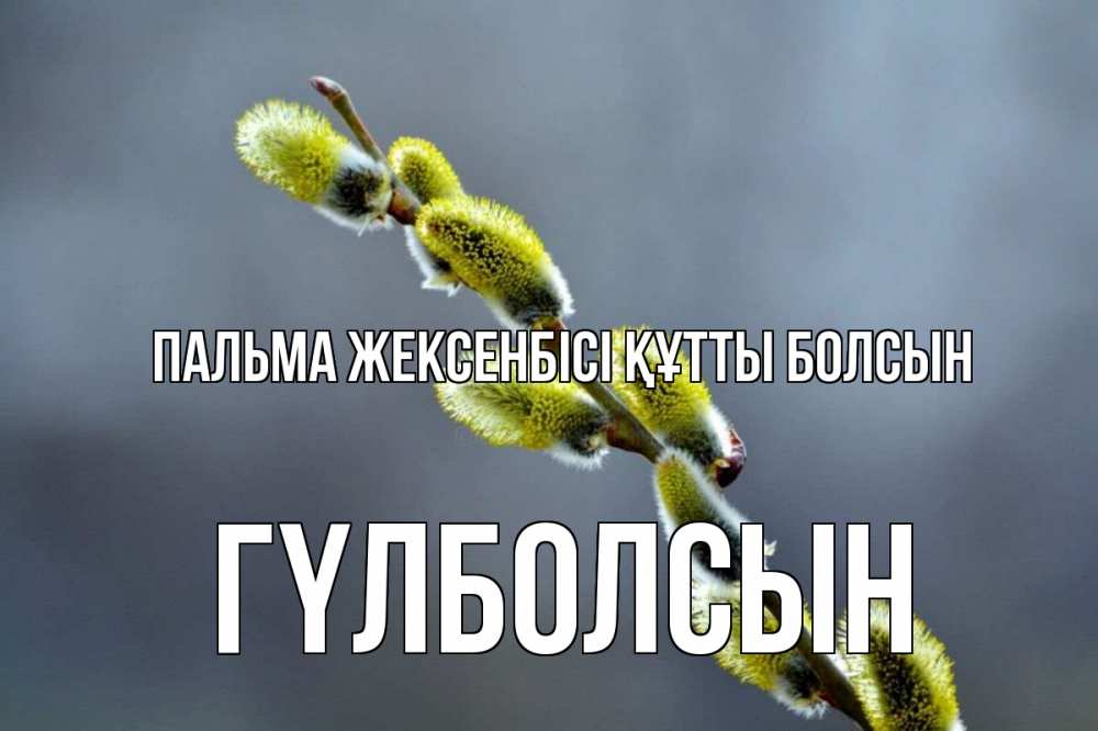 Күн сайын ашық хат с именем, ГҮЛБОЛСЫН Пальма жексенбісі құтты болсын верба Онлайн тегін жүктеп алу тілектері бар керемет карта 