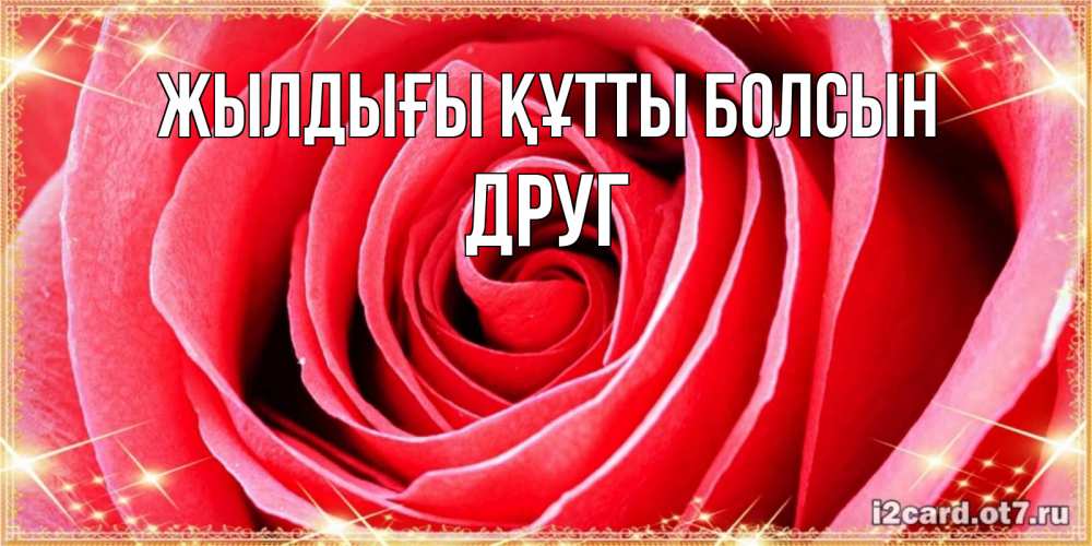Күн сайын ашық хат с именем, Друг Жылдығы құтты болсын розовая роза очень крупный бутон Онлайн тегін жүктеп алу тілектері бар керемет карта 