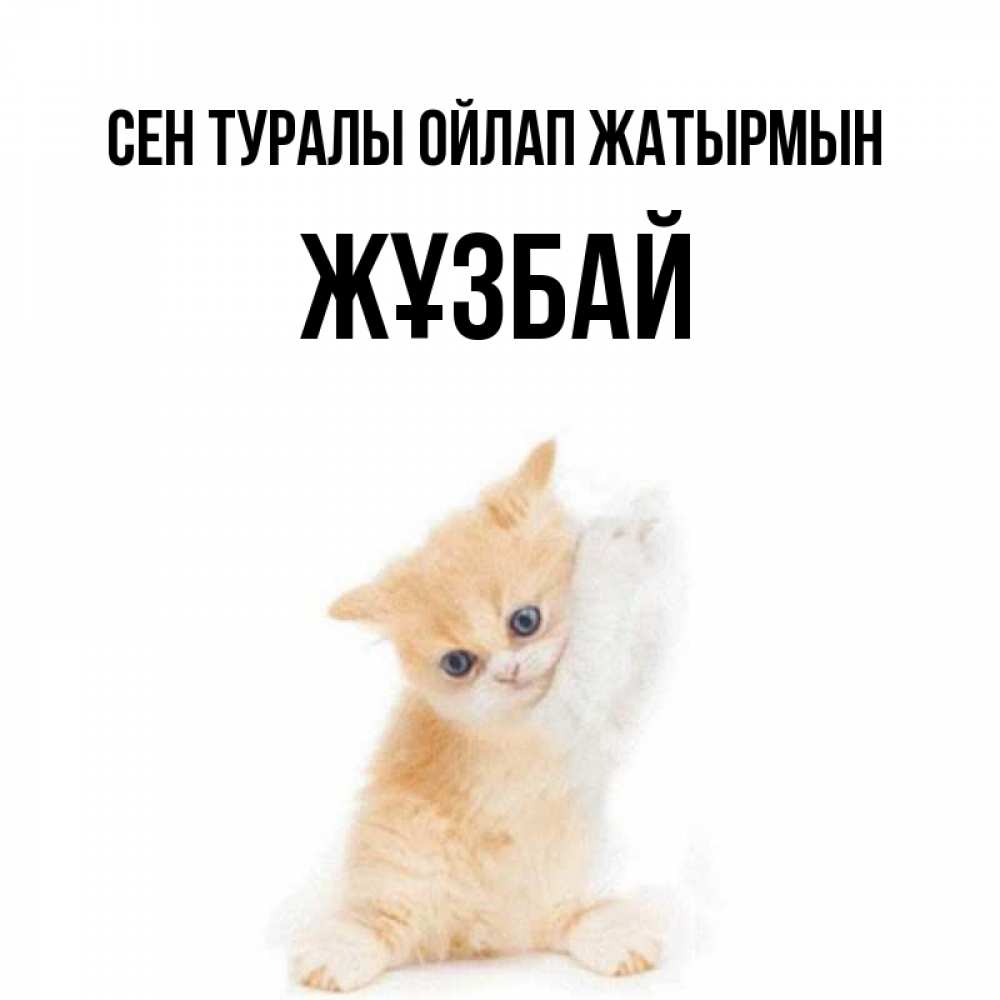 Күн сайын ашық хат с именем, Жұзбай Сен туралы ойлап жатырмын зверушки и милота Онлайн тегін жүктеп алу тілектері бар керемет карта 