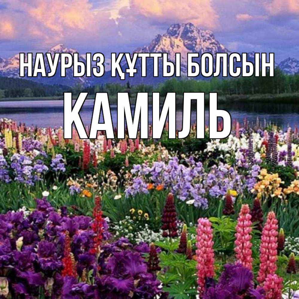 Күн сайын ашық хат с именем, Камиль Наурыз құтты болсын наурыз Онлайн тегін жүктеп алу тілектері бар керемет карта 