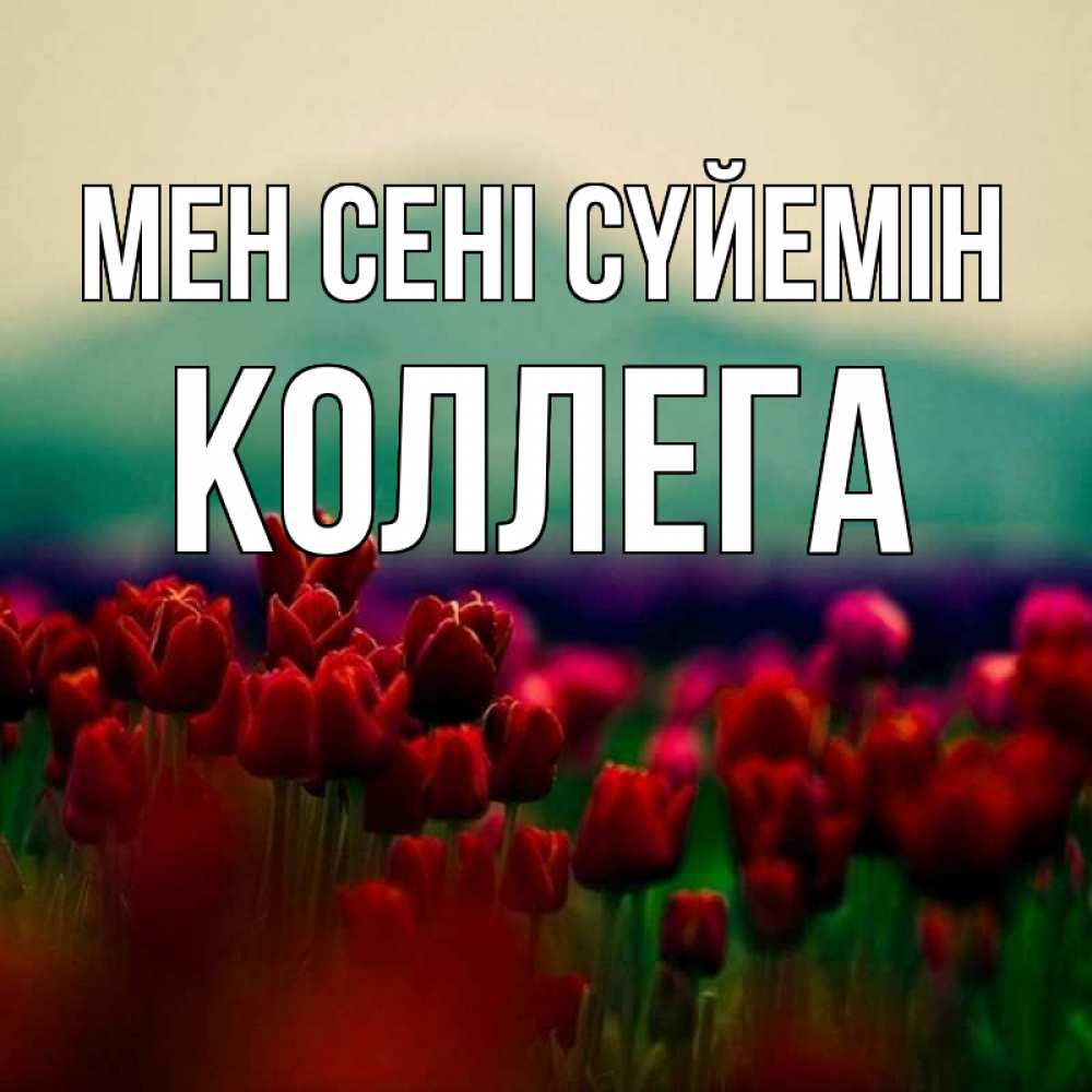 Күн сайын ашық хат с именем, Коллега Мен сені сүйемін тюльпаны 4 Онлайн тегін жүктеп алу тілектері бар керемет карта 
