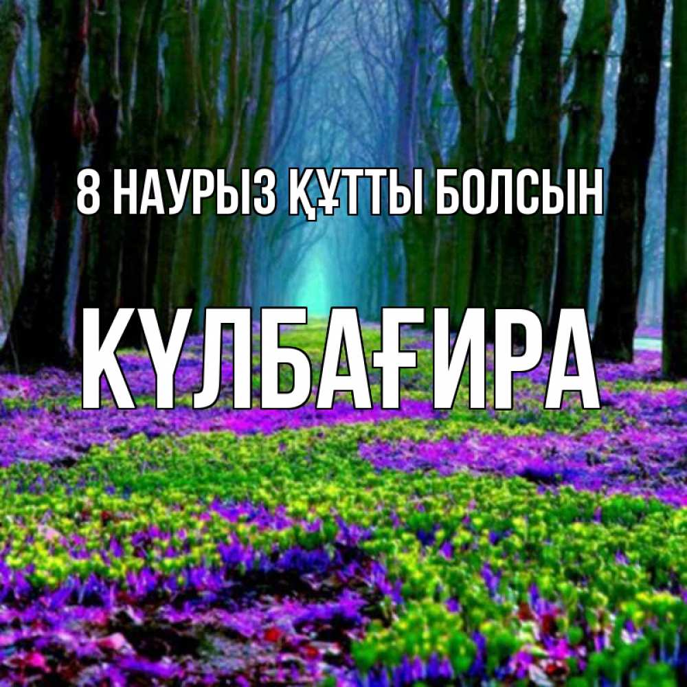 Күн сайын ашық хат с именем, КҮЛБАҒИРА 8 наурыз құтты болсын фиолетовые цветы в лесу 1 Онлайн тегін жүктеп алу тілектері бар керемет карта 
