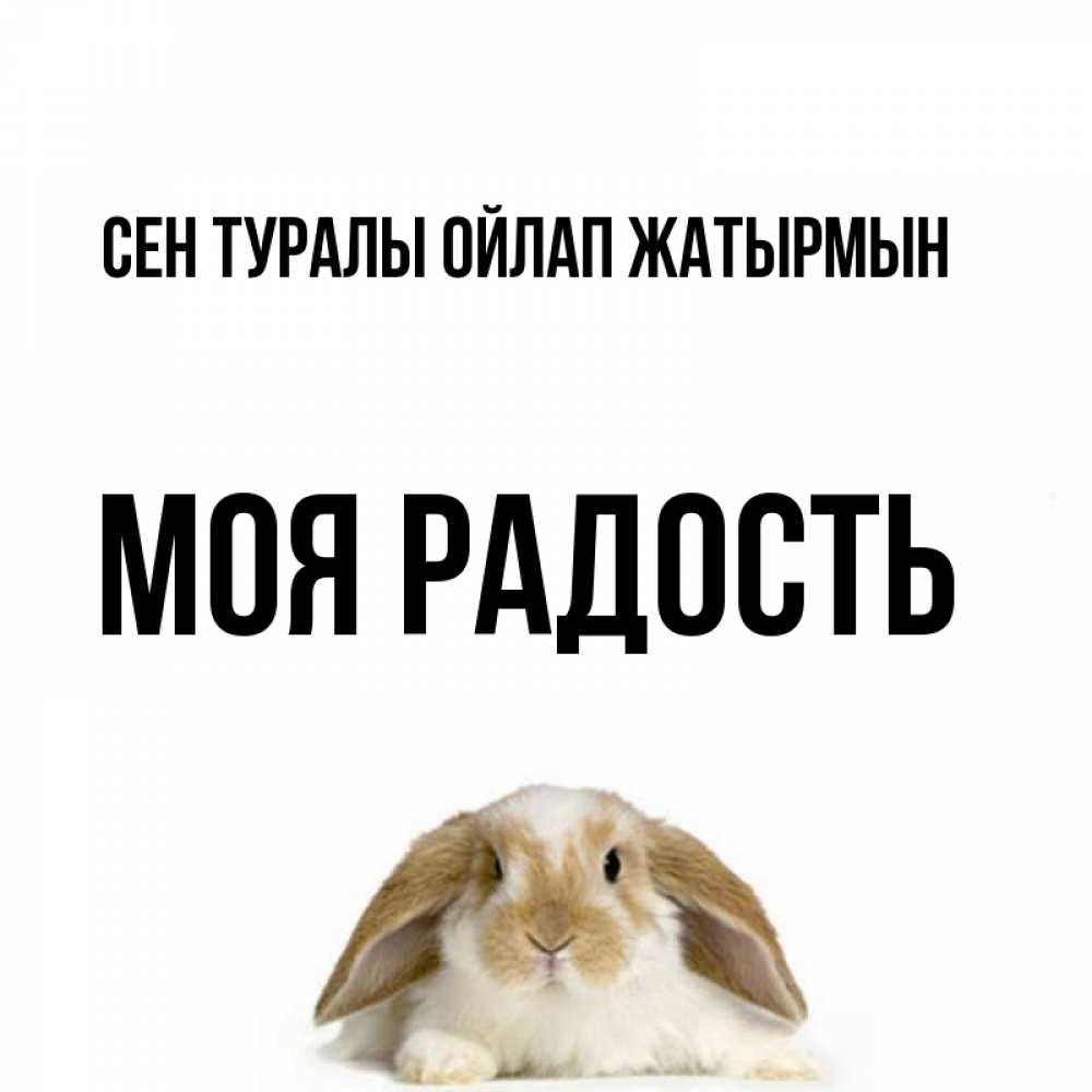 Күн сайын ашық хат с именем, Моя-радость Сен туралы ойлап жатырмын подписать своими руками онлайн Онлайн тегін жүктеп алу тілектері бар керемет карта 
