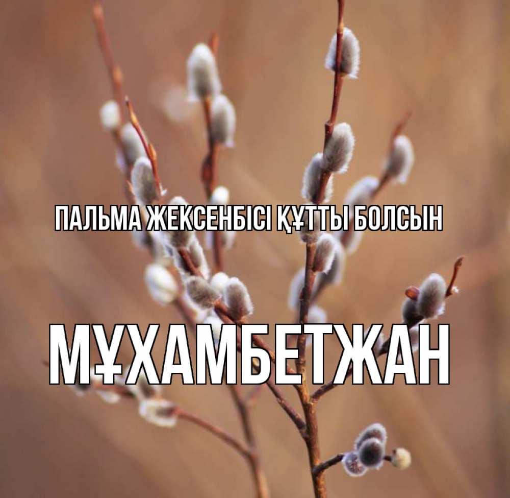 Күн сайын ашық хат с именем, МҰХАМБЕТЖАН Пальма жексенбісі құтты болсын верба Онлайн тегін жүктеп алу тілектері бар керемет карта 