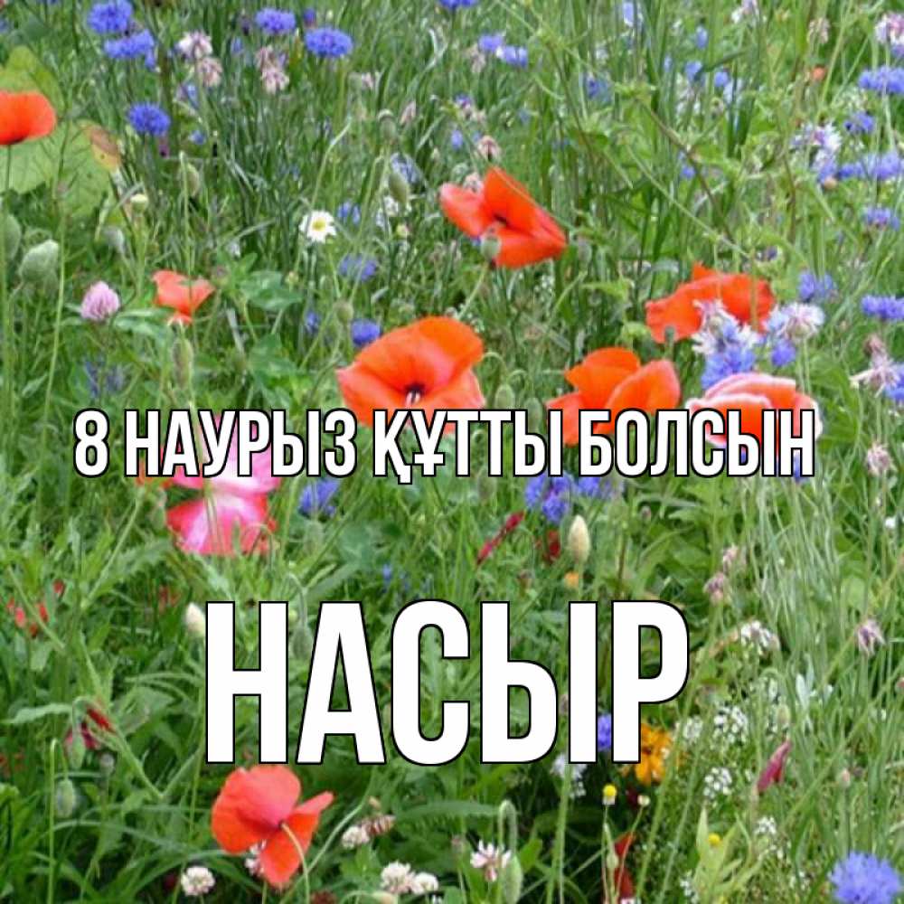 Күн сайын ашық хат с именем, НАСЫР 8 наурыз құтты болсын международный женский день 4 Онлайн тегін жүктеп алу тілектері бар керемет карта 