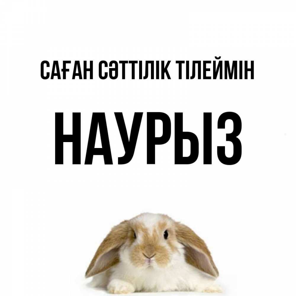Күн сайын ашық хат с именем, НАУРЫЗ Саған сәттілік тілеймін открытки с произвольным текстом который можно вставить в открытку и создать ее самостоятельно бесплатно онлайн Онлайн тегін жүктеп алу тілектері бар керемет карта 