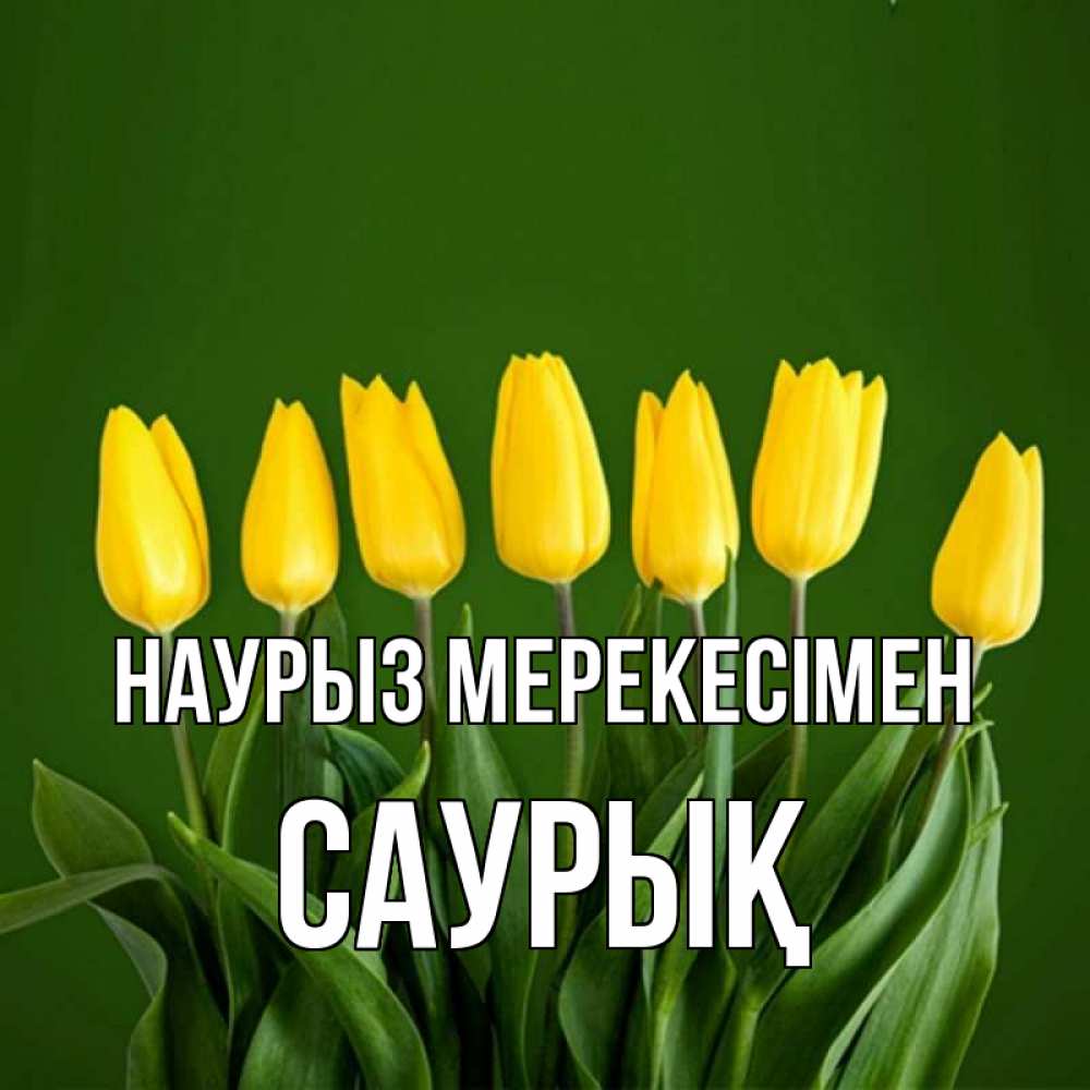 Күн сайын ашық хат с именем, САУРЫҚ Наурыз мерекесімен желтого цвета 3 Онлайн тегін жүктеп алу тілектері бар керемет карта 