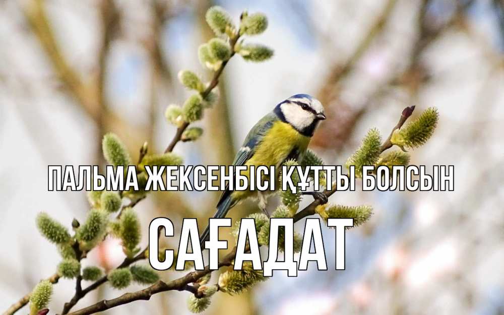 Күн сайын ашық хат с именем, САҒАДАТ Пальма жексенбісі құтты болсын верба Онлайн тегін жүктеп алу тілектері бар керемет карта 