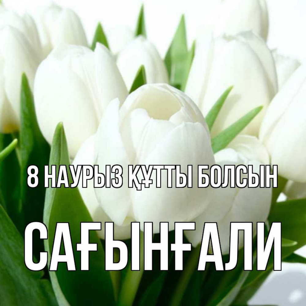 Күн сайын ашық хат с именем, Сағынғали 8 наурыз құтты болсын цветы Онлайн тегін жүктеп алу тілектері бар керемет карта 