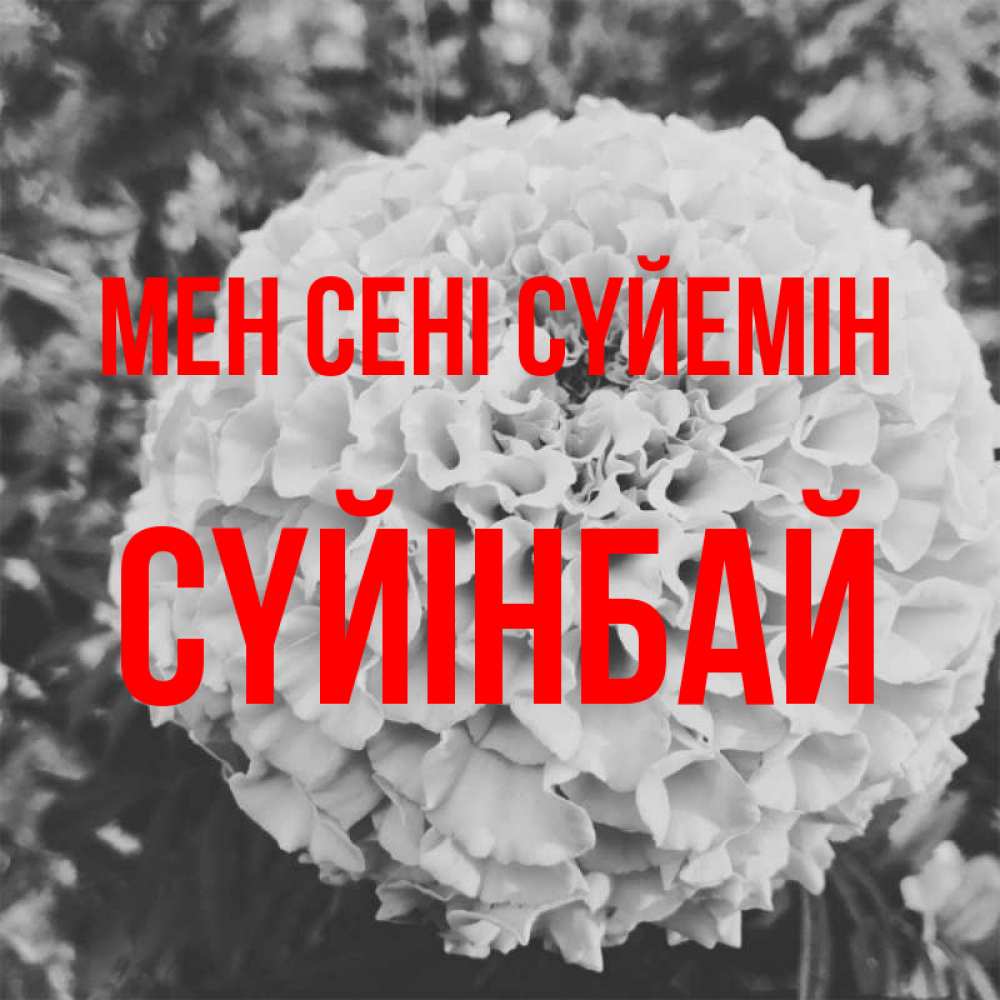 Күн сайын ашық хат с именем, СҮЙІНБАЙ Мен сені сүйемін подпись Онлайн тегін жүктеп алу тілектері бар керемет карта 