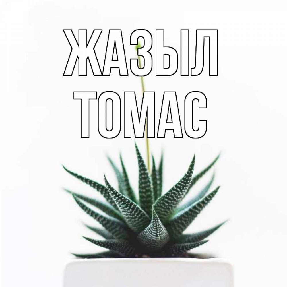 Күн сайын ашық хат с именем, Томас Жазыл короче это непонятная колючка Онлайн тегін жүктеп алу тілектері бар керемет карта 