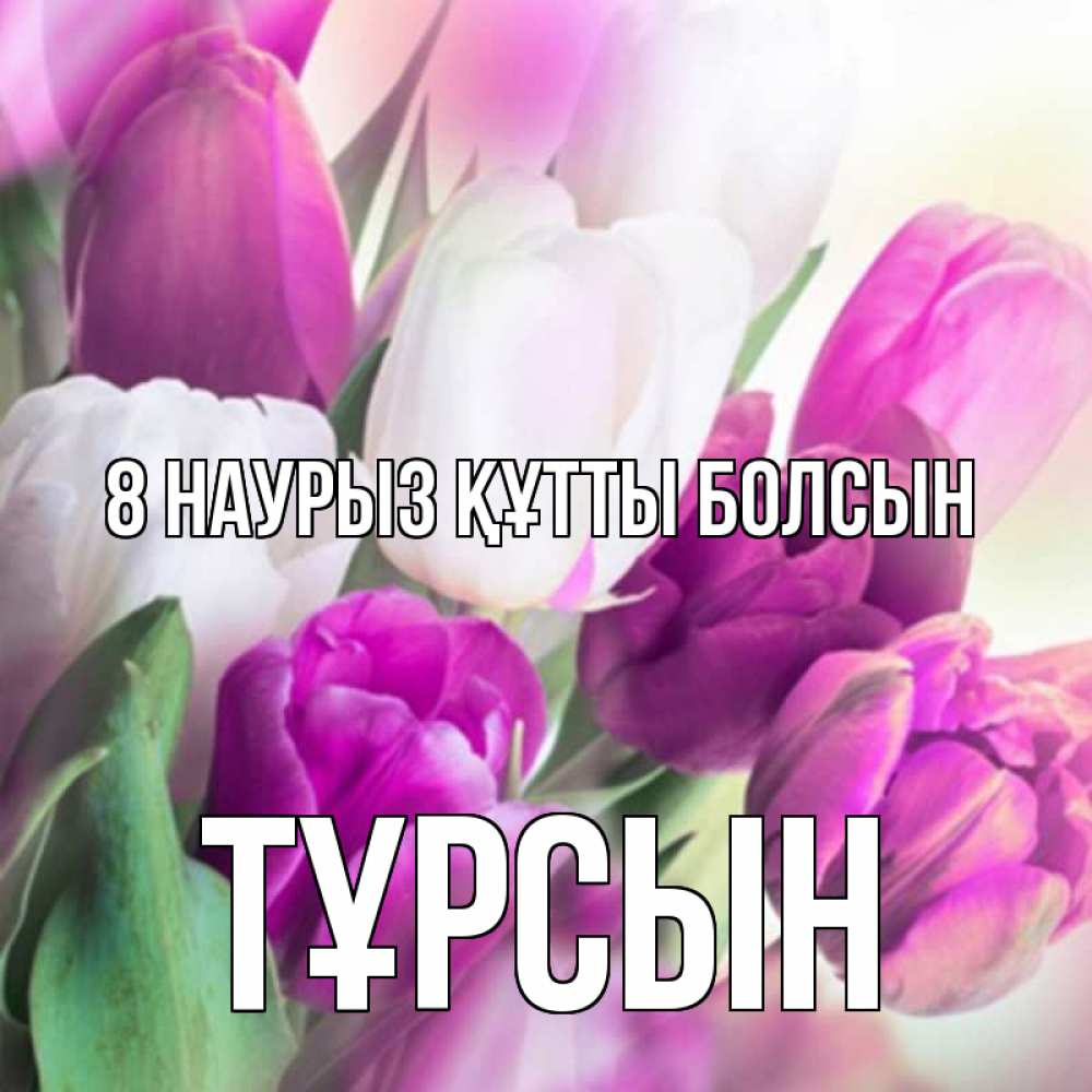 Күн сайын ашық хат с именем, ТҰРСЫН 8 наурыз құтты болсын весна 1 Онлайн тегін жүктеп алу тілектері бар керемет карта 