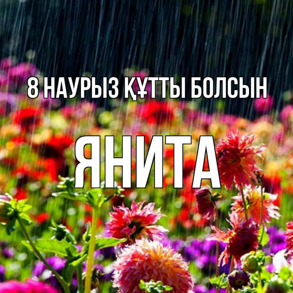 Күн сайын ашық хат с именем, Янита 8 наурыз құтты болсын цветы под дождиком к международному женскому дню Онлайн тегін жүктеп алу тілектері бар керемет карта 