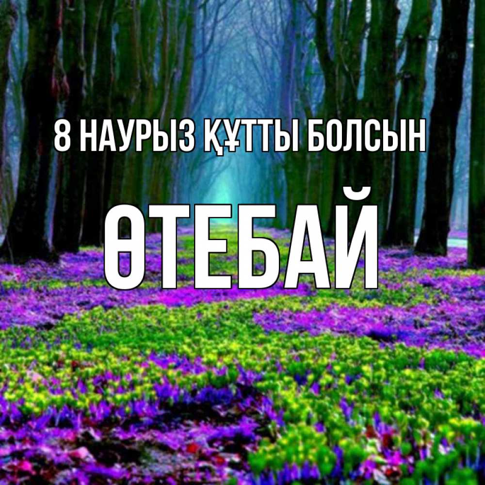 Күн сайын ашық хат с именем, ӨТЕБАЙ 8 наурыз құтты болсын фиолетовые цветы в лесу 1 Онлайн тегін жүктеп алу тілектері бар керемет карта 