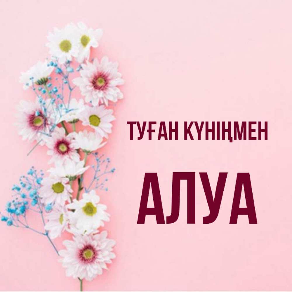 Күн сайын ашық хат с именем, АЛУА Туған күніңмен Родная моя с днем рождения тебя картинка с цветами белыми и голубыми Онлайн тегін жүктеп алу тілектері бар керемет карта 