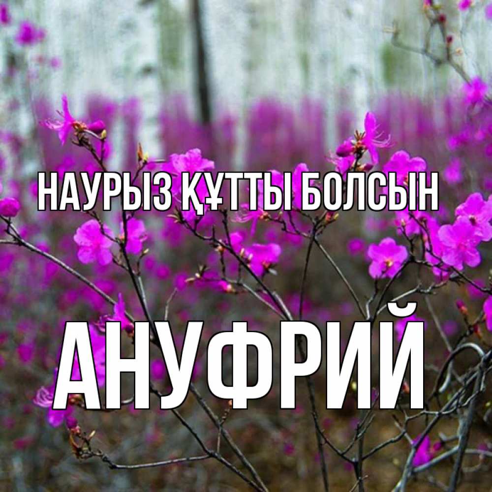 Күн сайын ашық хат с именем, Ануфрий Наурыз құтты болсын дикие цветы Онлайн тегін жүктеп алу тілектері бар керемет карта 