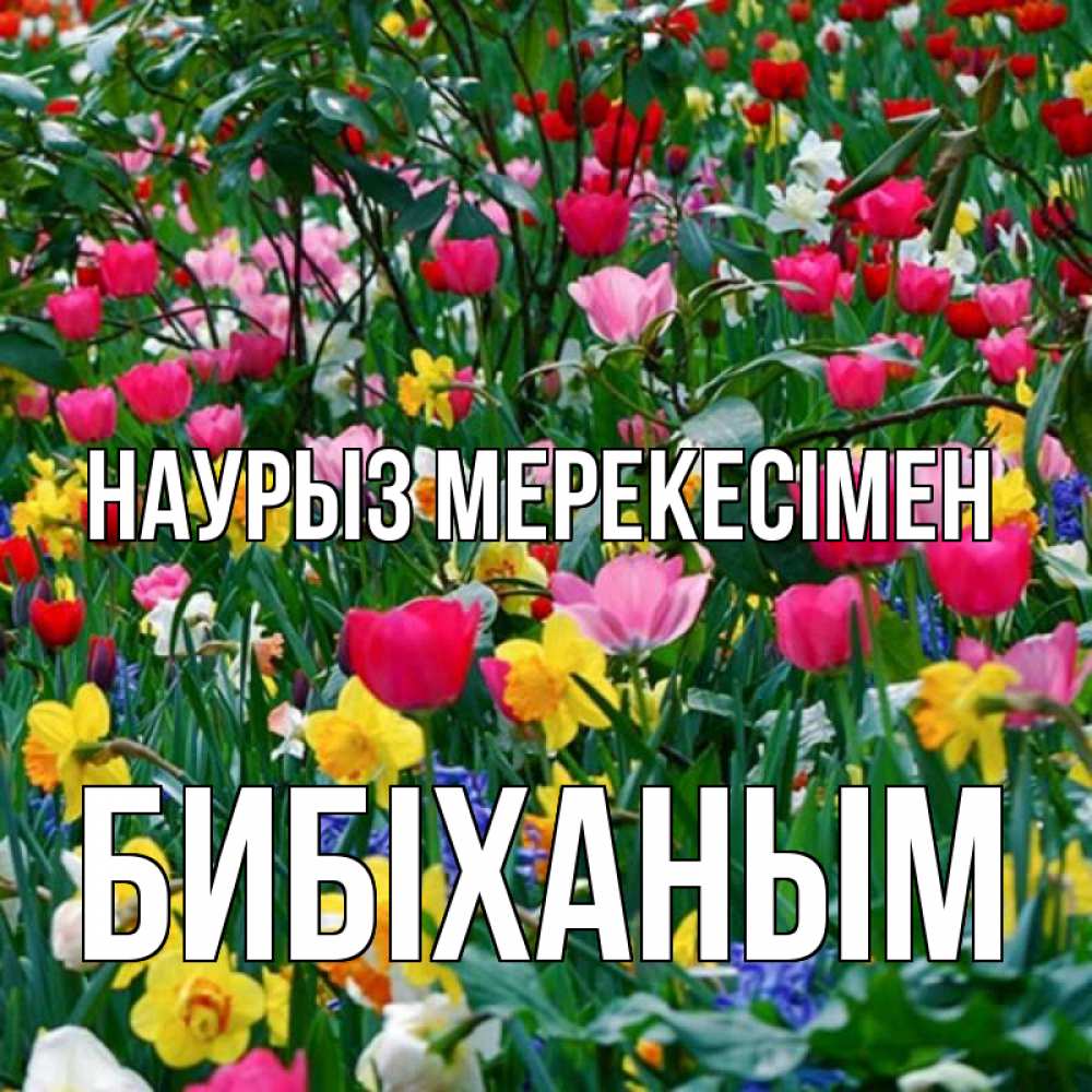 Күн сайын ашық хат с именем, БИБІХАНЫМ Наурыз мерекесімен с наурызом праздником весны поздравления для женщины Онлайн тегін жүктеп алу тілектері бар керемет карта 
