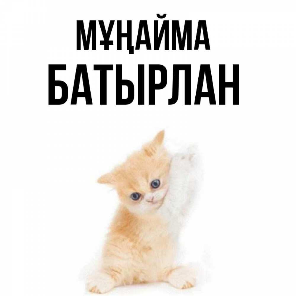 Күн сайын ашық хат с именем, Батырлан Мұңайма просящий кот Онлайн тегін жүктеп алу тілектері бар керемет карта 